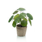Pot Pilea 25 cm - Plante verte artificielle